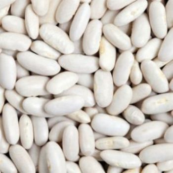 White Kidney Beans