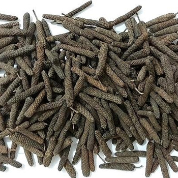 Long Pepper